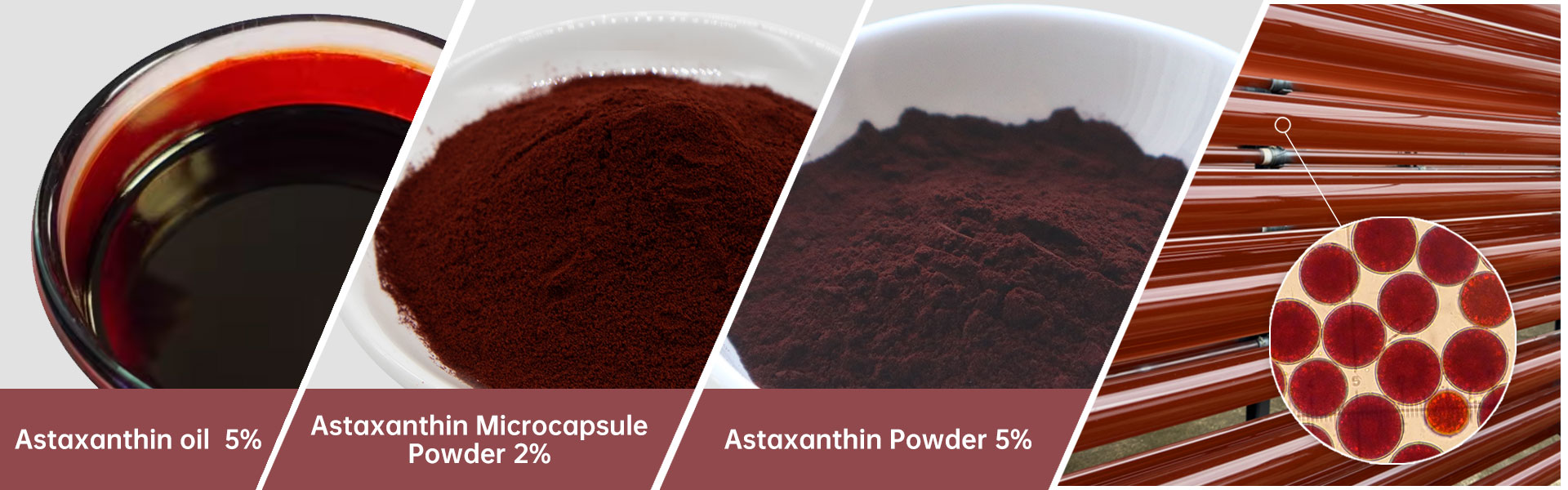 Astaxanthin Oil